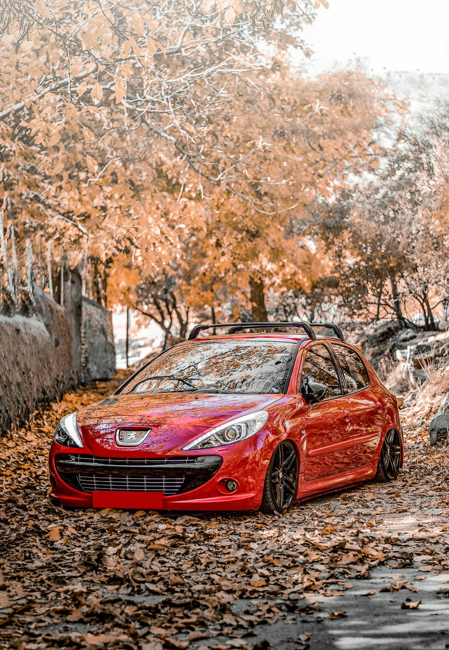 Why Advertising to Drivers Can Boost Your Business